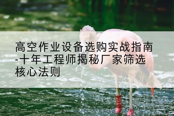 北塔剪叉式升降机厂家-高空作业设备选购实战指南-十年工程师揭秘厂家筛选核心法则