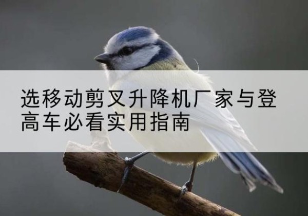 北塔电动升降机厂家-选移动剪叉升降机厂家与登高车必看实用指南