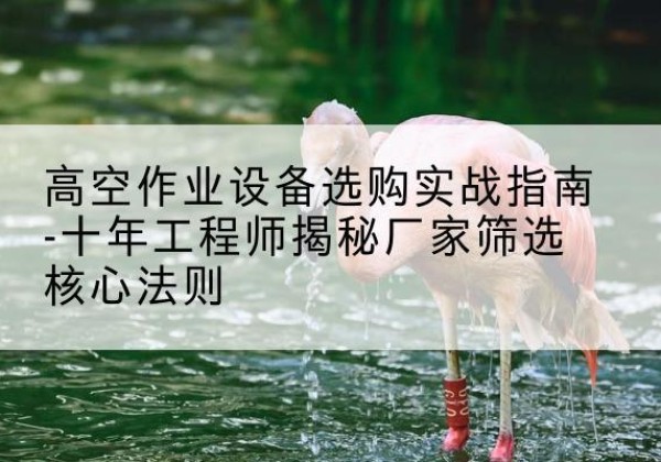 北塔剪叉式升降机厂家-高空作业设备选购实战指南-十年工程师揭秘厂家筛选核心法则