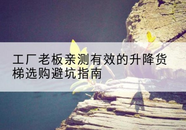 北塔升降货梯怎么选-工厂老板亲测有效的升降货梯选购避坑指南